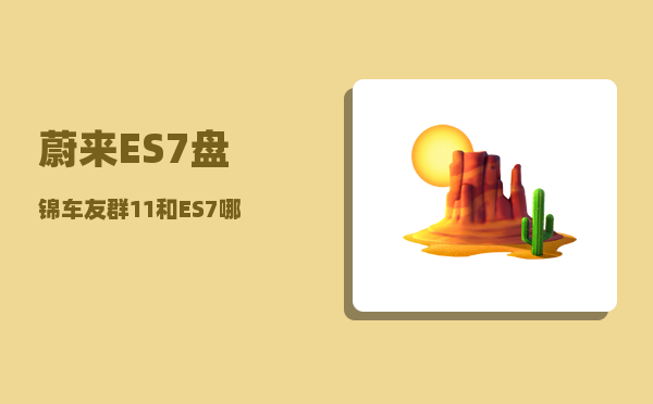 蔚来ES7盘锦车友群_11和ES7哪个配置好-图1