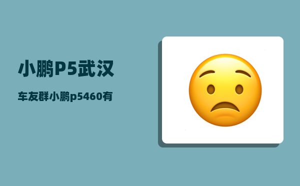 小鹏P5武汉车友群_小鹏p5460有哪些配置-图1