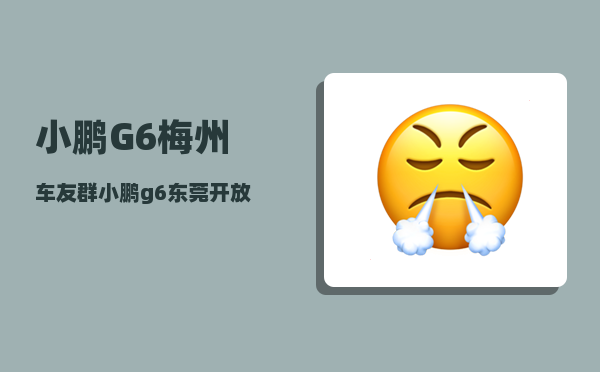 小鹏G6梅州车友群_小鹏g6东莞开放吗-图1