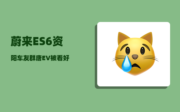 蔚来ES6资阳车友群_唐EV被看好-图1