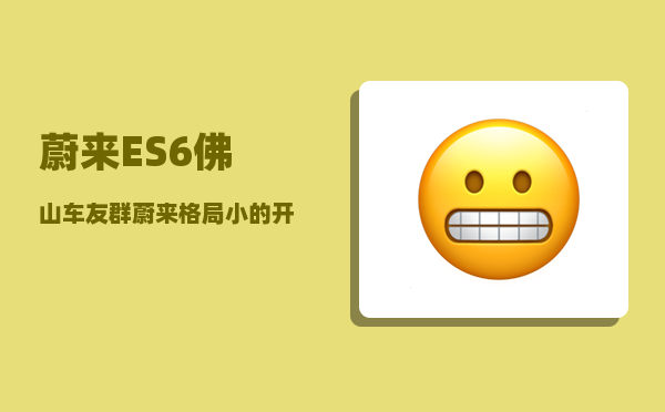 蔚来ES6佛山车友群_蔚来格局小的开什么车-图1