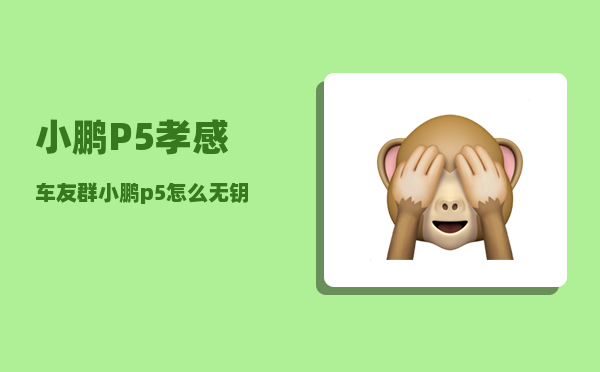 小鹏P5孝感车友群_小鹏p5怎么区分版本-图1