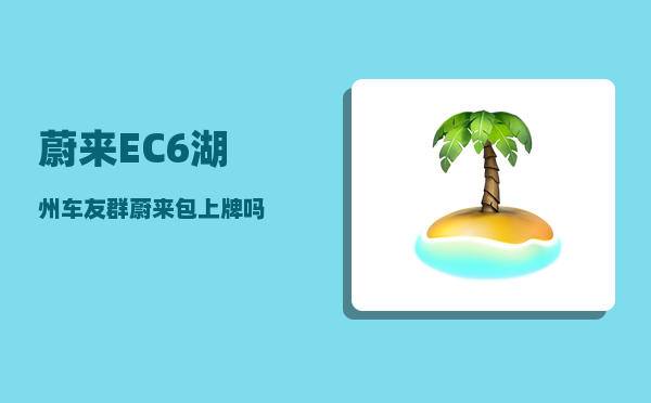 蔚来EC6湖州车友群_蔚来包上牌吗-图1
