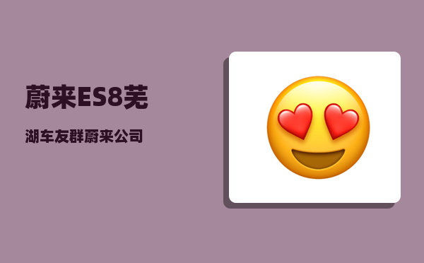 蔚来ES8芜湖车友群_蔚来公司-图1