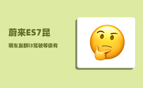 蔚来ES7昆明车友群_l3驾驶等级有什么车-图1