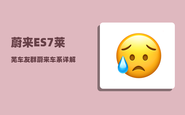 蔚来ES7莱芜车友群_蔚来车系详解-图1