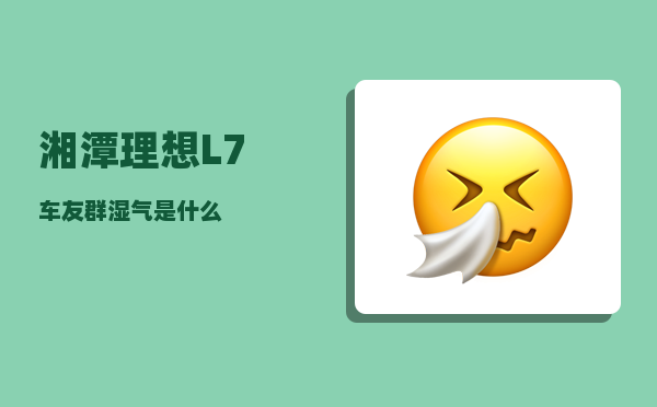 湘潭理想L7车友群_湿气是什么-图1