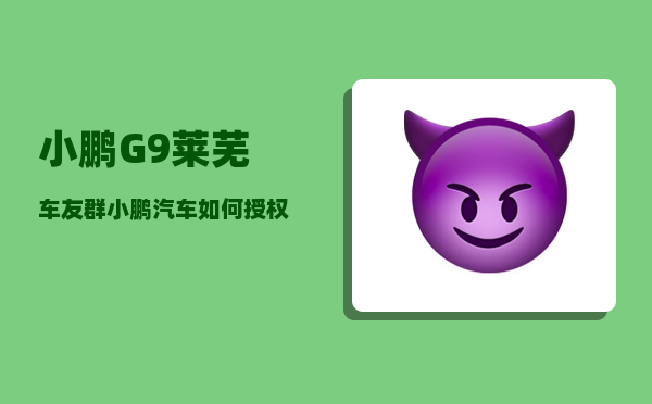 小鹏G9莱芜车友群_小鹏汽车如何授权手机app-图1