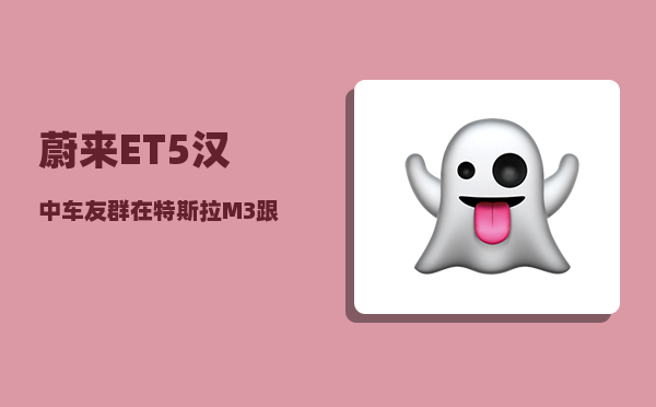 蔚来ET5汉中车友群_在特斯拉M3跟比亚迪汉中犹豫-图1
