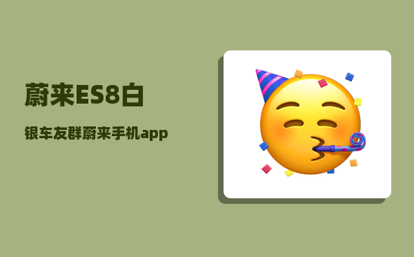 蔚来ES8白银车友群_蔚来手机app可以查行驶路线吗-图1