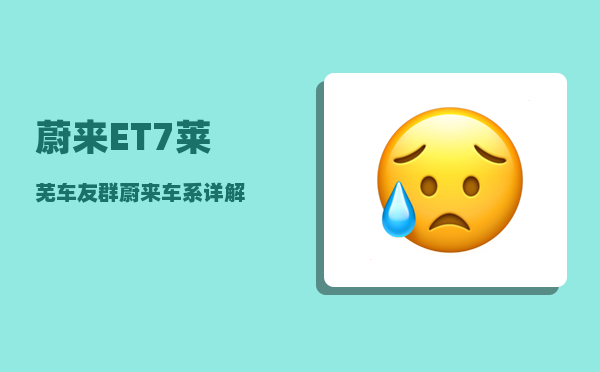 蔚来ET7莱芜车友群_蔚来车系详解-图1