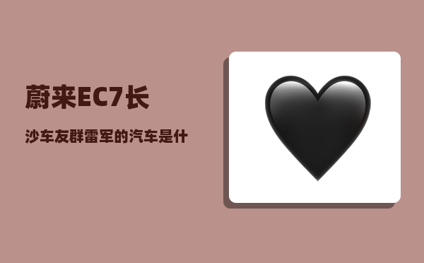 蔚来EC7长沙车友群_雷军的汽车是什么牌子-图1