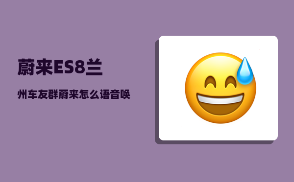 蔚来ES8兰州车友群_蔚来怎么语音唤醒-图1