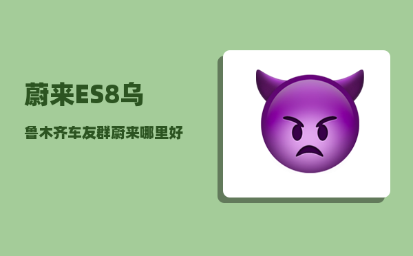 蔚来ES8乌鲁木齐车友群_蔚来哪里好-图1