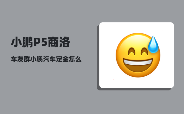 小鹏P5商洛车友群_小鹏汽车定金怎么退-图1