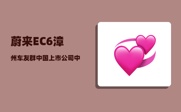 蔚来EC6漳州车友群_中国上市公司中有哪些隐形冠军-图1