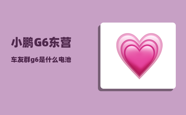 小鹏G6东营车友群_g6是什么电池-图1