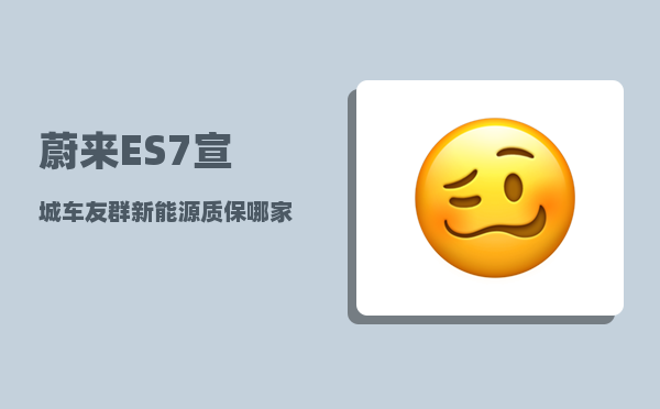蔚来ES7宣城车友群_新能源质保哪家强-图1