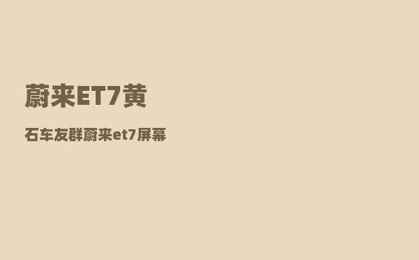 蔚来ET7黄石车友群_蔚来et7屏幕为什么条纹-图1