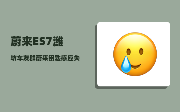 蔚来ES7潍坊车友群_蔚来钥匙感应失灵-图1