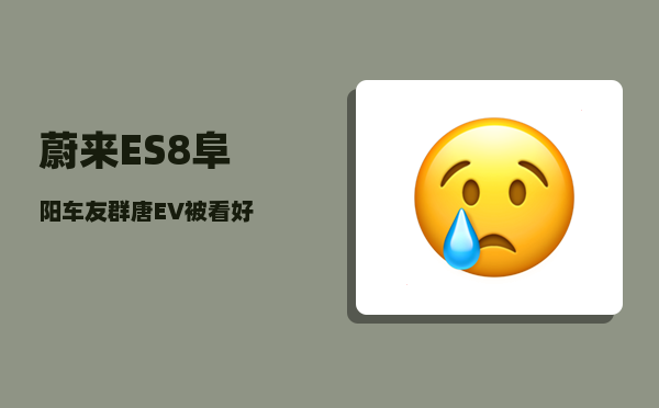 蔚来ES8阜阳车友群_唐EV被看好-图1