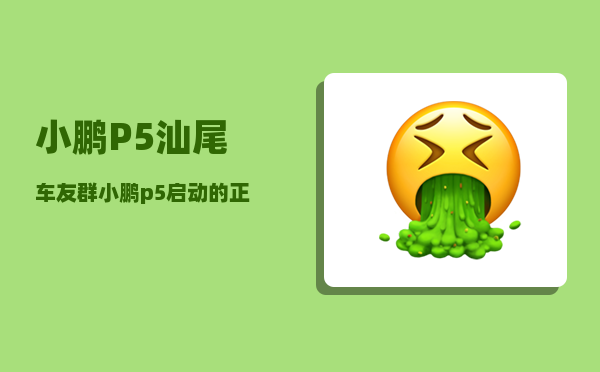 小鹏P5汕尾车友群_小鹏p5启动的正确步骤-图1