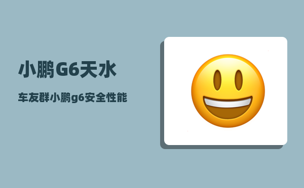 小鹏G6天水车友群_小鹏g6安全性能怎么样-图1