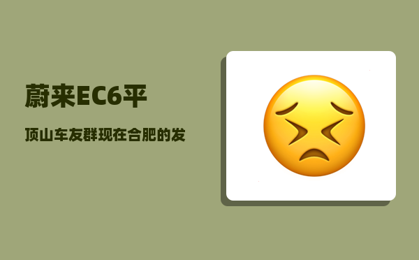蔚来EC6平顶山车友群_现在合肥的发展怎么样-图1