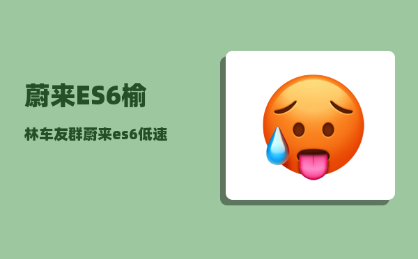 蔚来ES6榆林车友群_蔚来es6低速提示音如何关闭-图1