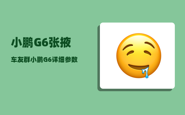 小鹏G6张掖车友群_小鹏G6详细参数配置-图1