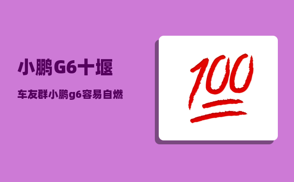 小鹏G6十堰车友群_小鹏g6容易自燃吗-图1