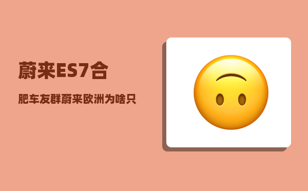 蔚来ES7合肥车友群_蔚来欧洲为啥只租不卖-图1