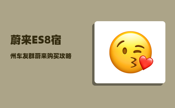 蔚来ES8宿州车友群_蔚来购买攻略-图1