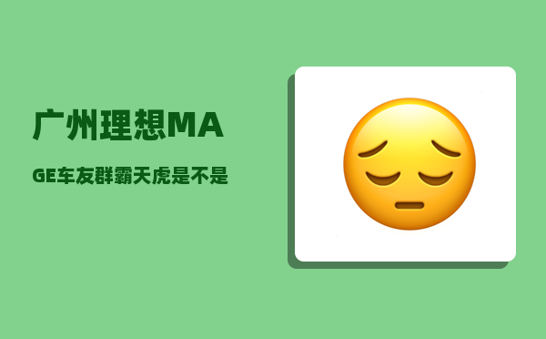 广州理想MAGE车友群_霸天虎是不是翻译的很糟糕-图1