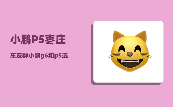 小鹏P5枣庄车友群_小鹏g6和p5选哪个-图1