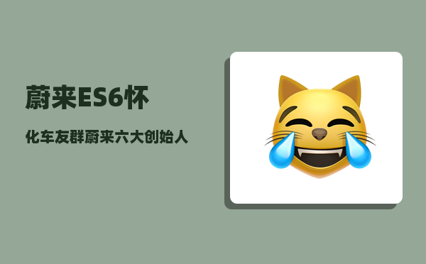 蔚来ES6怀化车友群_蔚来六大创始人-图1