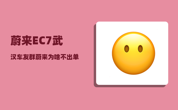 蔚来EC7武汉车友群_蔚来为啥不出单电机-图1