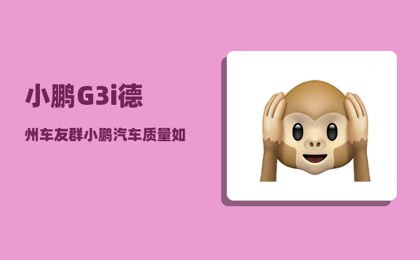 小鹏G3i德州车友群_小鹏汽车质量如何-图1