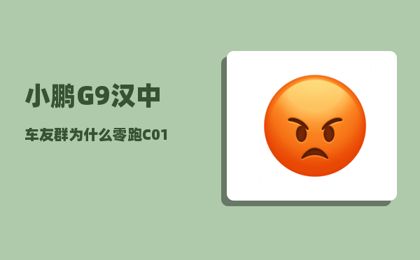 小鹏G9汉中车友群_为什么零跑C01能和小鹏G9拉开如此大距离-图1
