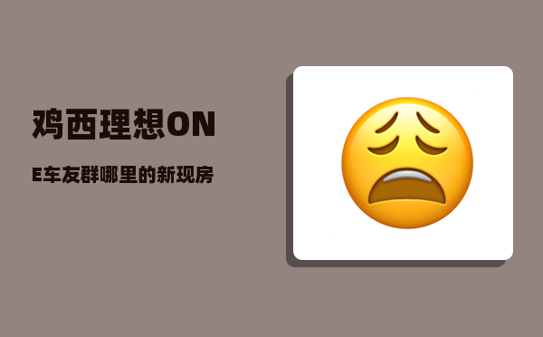 鸡西理想ONE车友群_哪里的新现房-图1
