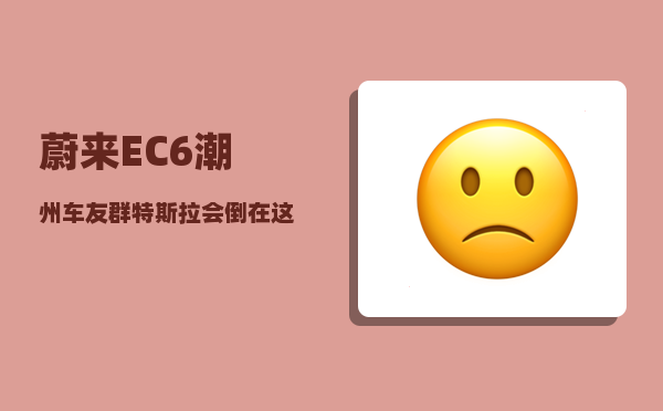 蔚来EC6潮州车友群_特斯拉会倒在这次刹车门之后吗-图1