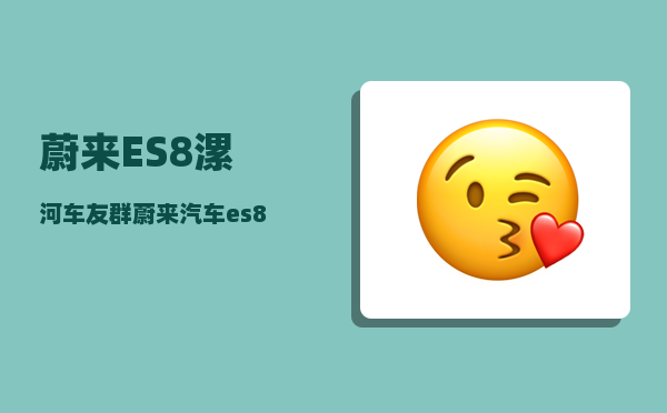 蔚来ES8漯河车友群_蔚来汽车es8话筒怎么连接-图1