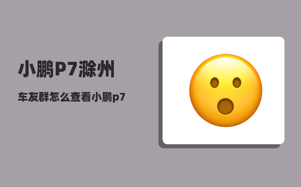 小鹏P7滁州车友群_怎么查看小鹏p7的配置-图1