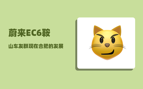 蔚来EC6鞍山车友群_现在合肥的发展怎么样-图1