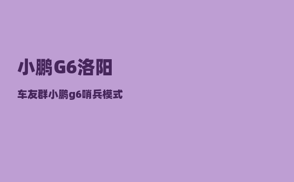 小鹏G6洛阳车友群_小鹏g6哨兵模式怎么开启-图1
