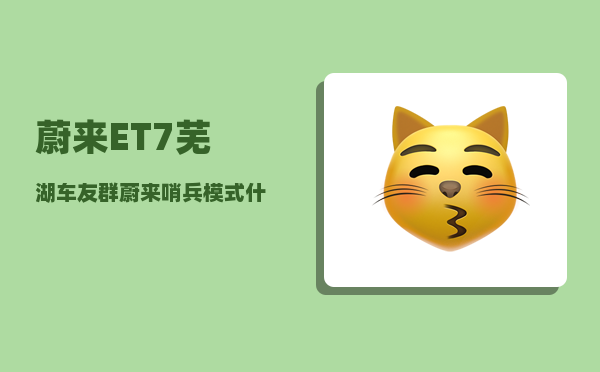 蔚来ET7芜湖车友群_蔚来哨兵模式什么时候出-图1