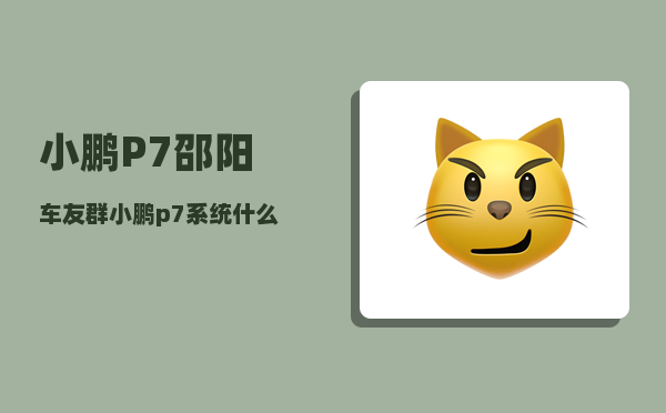 小鹏P7邵阳车友群_小鹏p7系统什么时候更新-图1