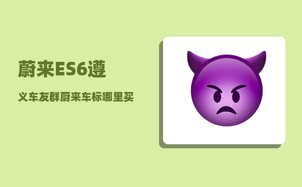 蔚来ES6遵义车友群_蔚来车标哪里买-图1