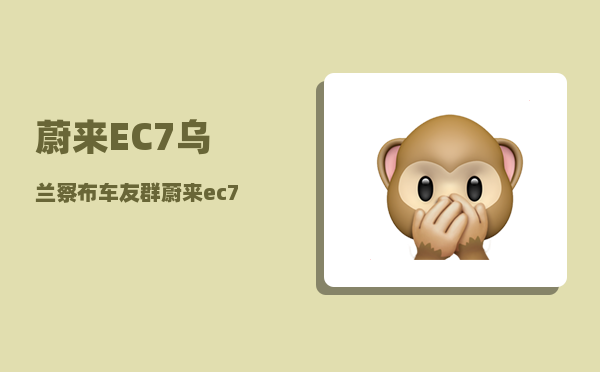 蔚来EC7乌兰察布车友群_蔚来ec7什么时候交付-图1