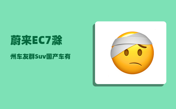 蔚来EC7滁州车友群_Suv国产车有多少个品牌-图1